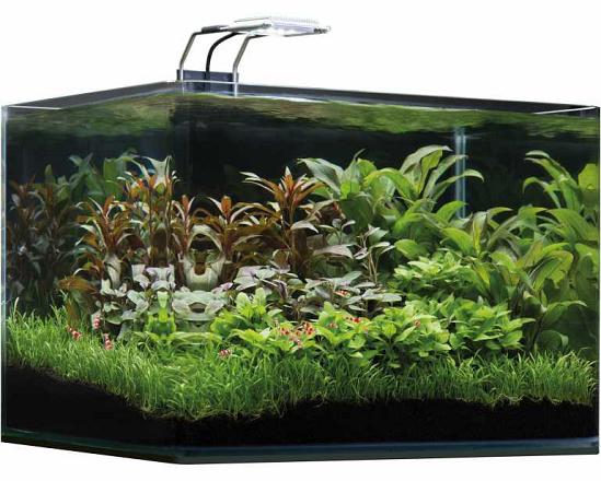 Dennerle Nano Scapers Tank Basic LED 35 ltr