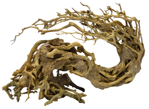 SuperFish Bonsai Wave M