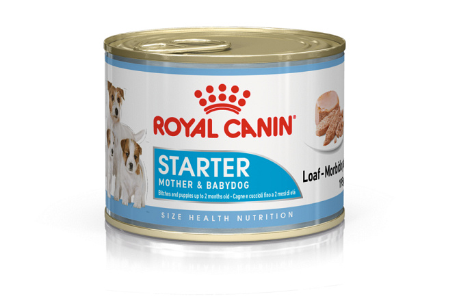 Royal Canin hondenvoer Starter Mousse 12 x 195 gr